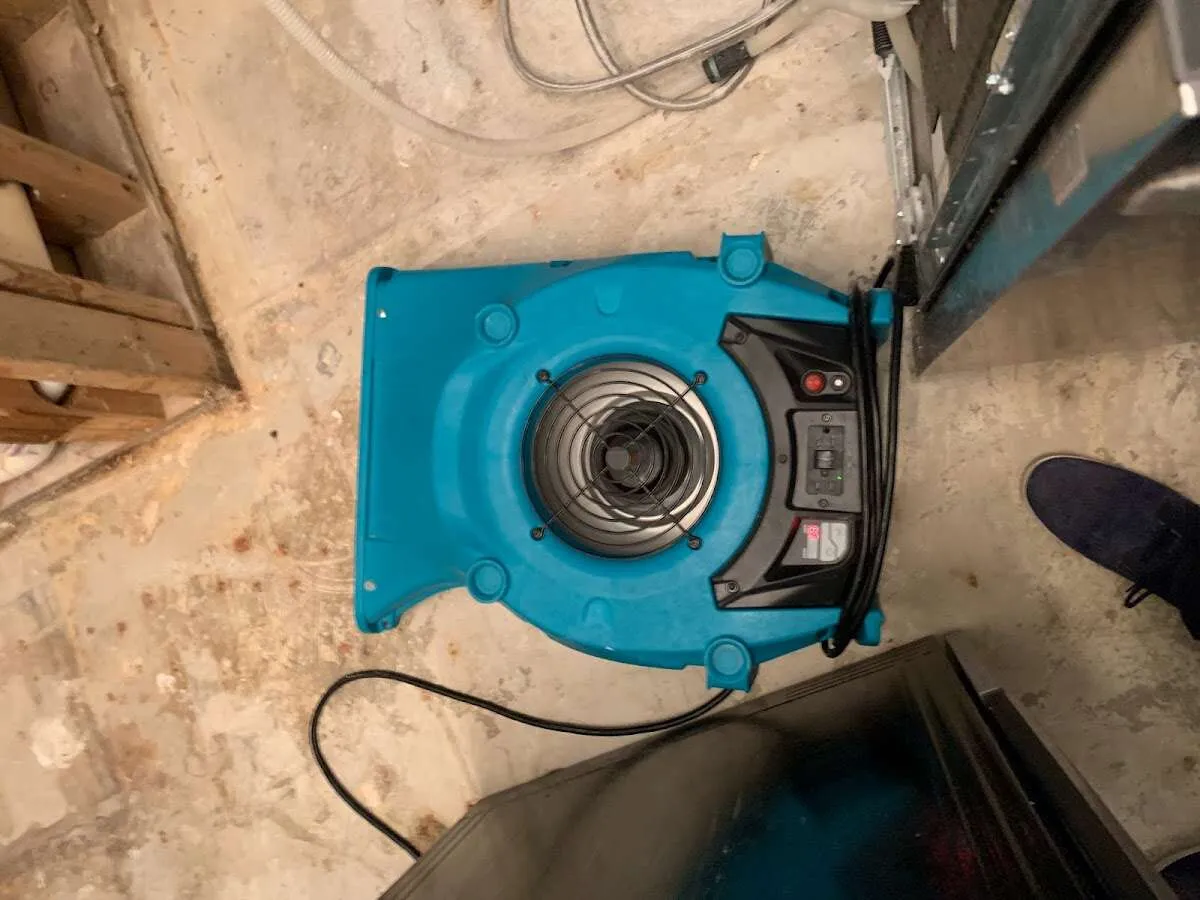 Air mover drying equipment for Mold Remediation & Removal in Azle